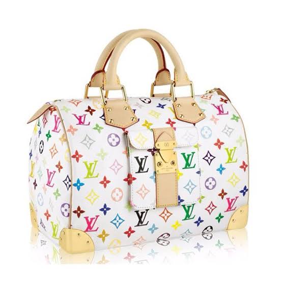 Large Louis Vuitton bag